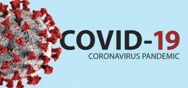 Corona COVID19b Virus
