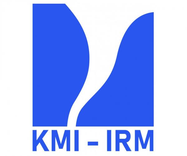 KMI IRM Logo